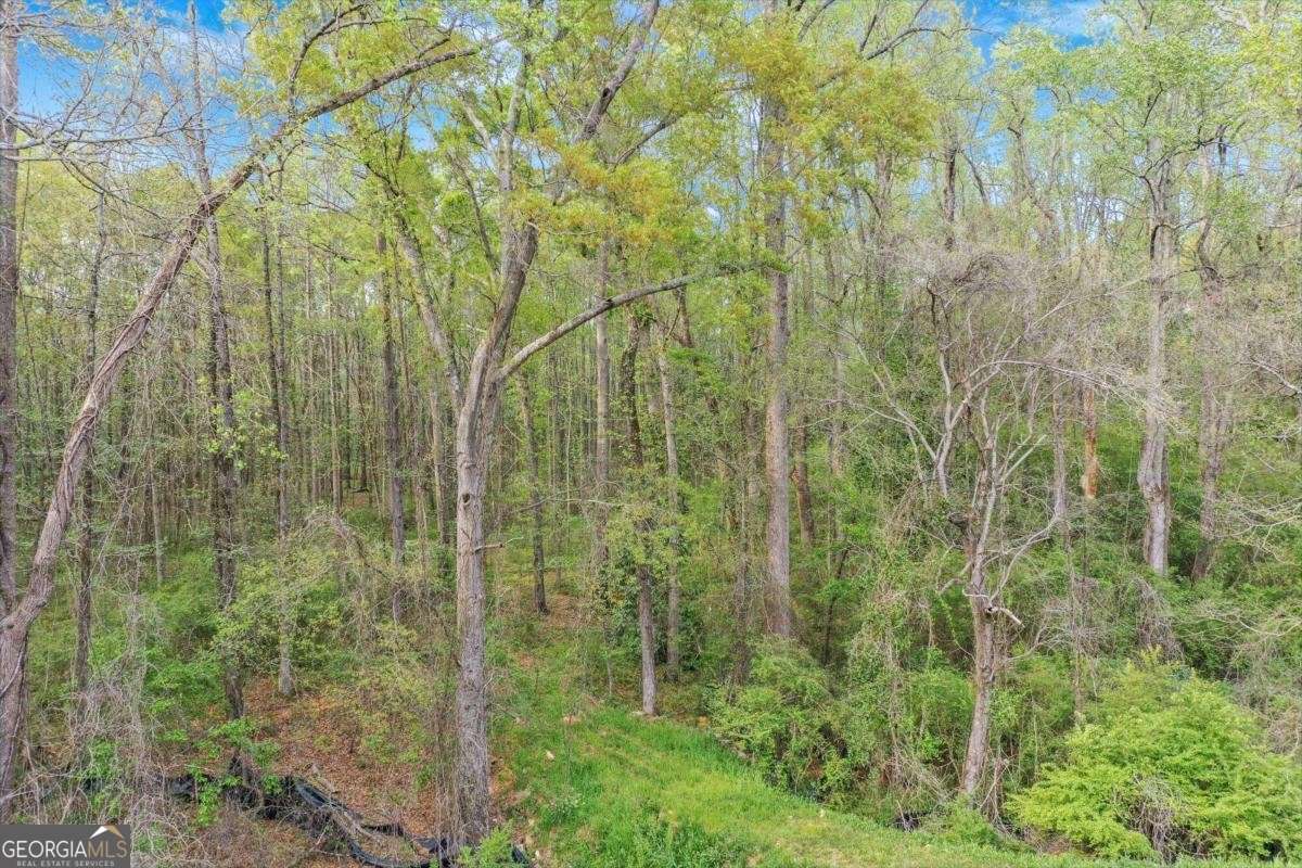 1232 Athens Road Crawford, GA 30630 - Photo 11 of 12