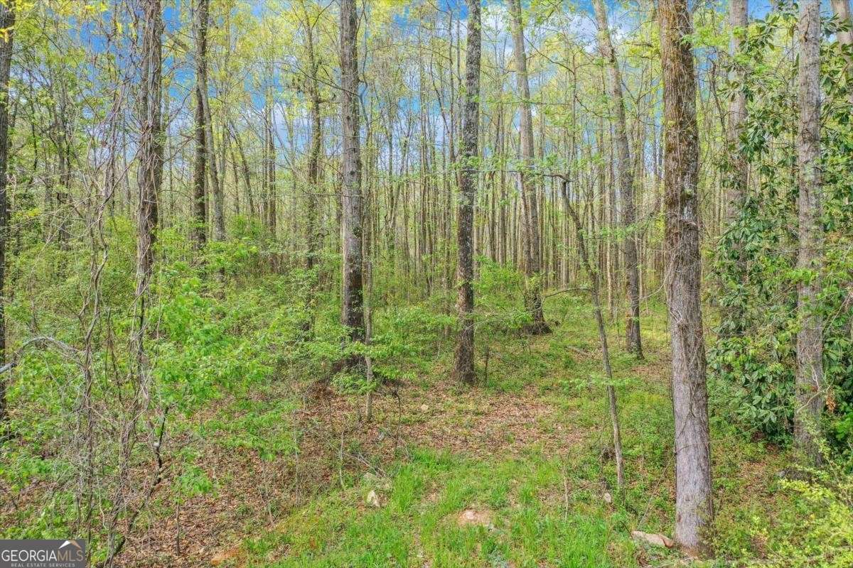 1232 Athens Road Crawford, GA 30630 - Photo 12 of 12