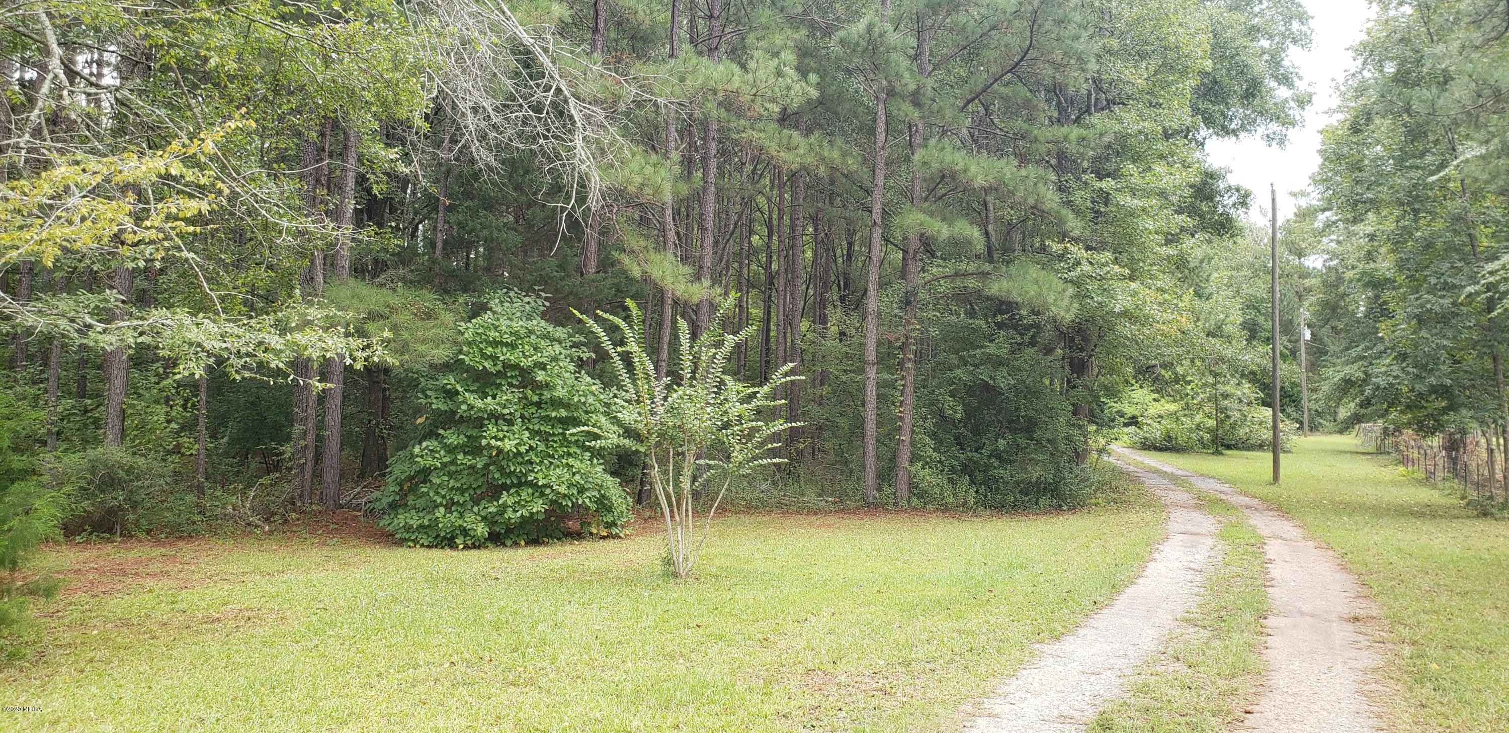 291 Morton Road Gray, GA 31032 - Photo 33 of 33 a view of a yard with plants