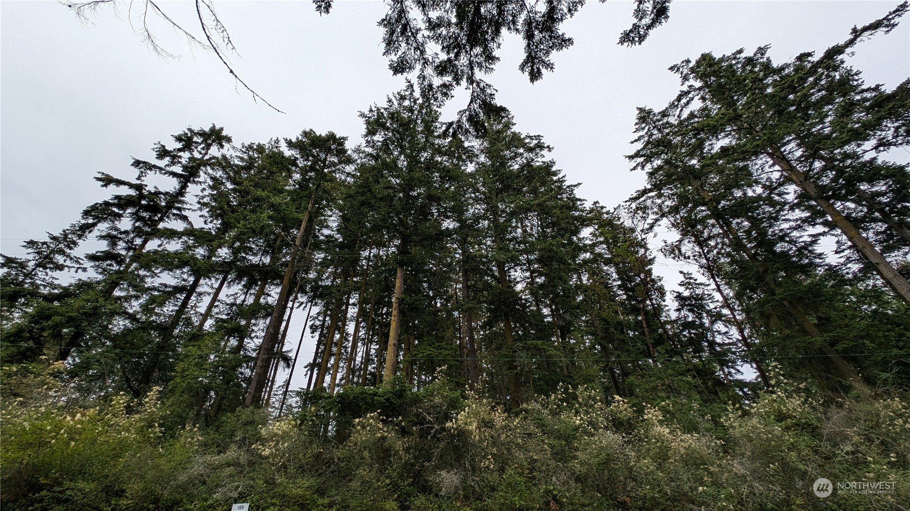 0 Flagler Road Nordland, WA 98358 - Photo 8 of 10 Gallery Image 8