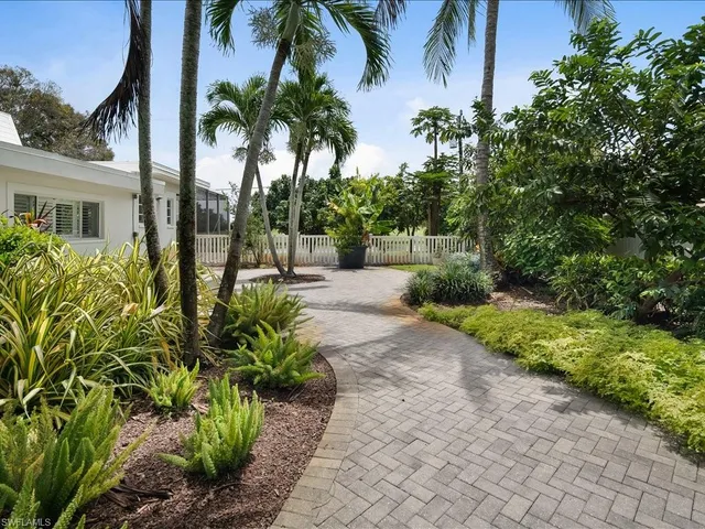 a view of a backyard with potted plants and large trees
