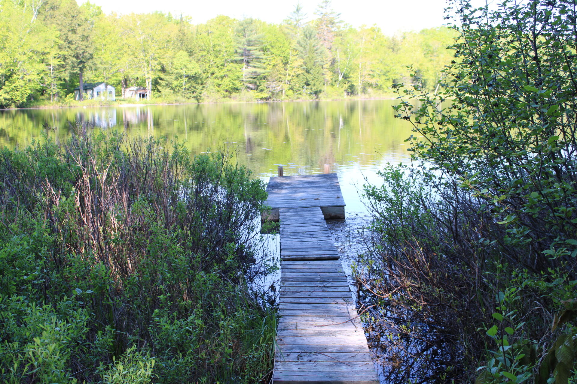 20 Blue Jay Drive Embden, ME 04958 - Photo 4 of 12 IMG_4492