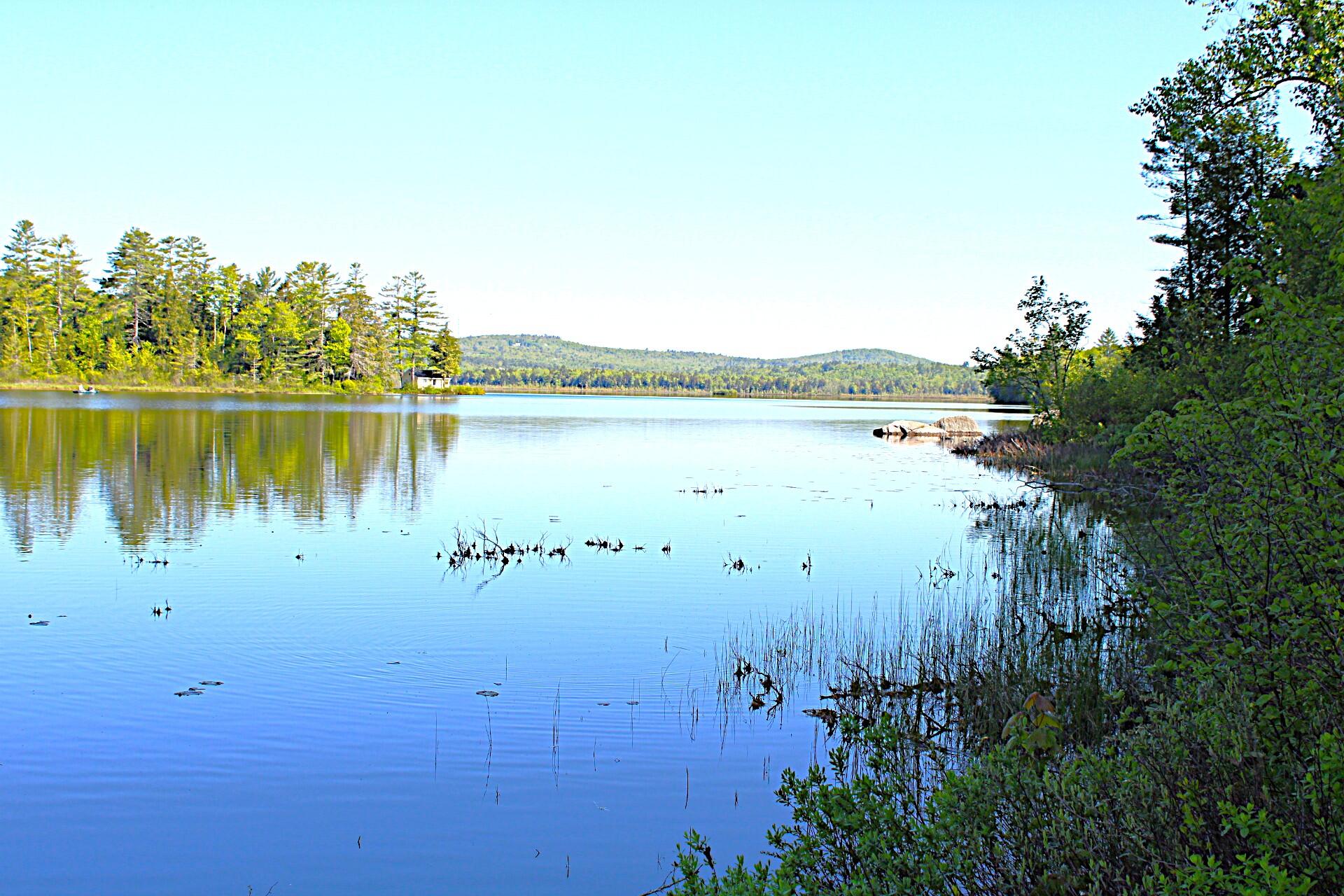20 Blue Jay Drive Embden, ME 04958 - Photo 5 of 12 IMG_4493
