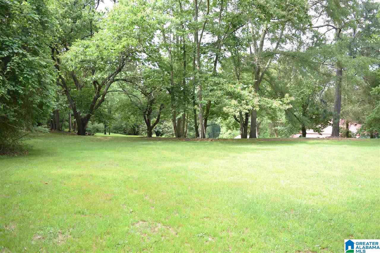 56411 Highway 231 Oneonta, AL 35121 - Photo 4 of 50