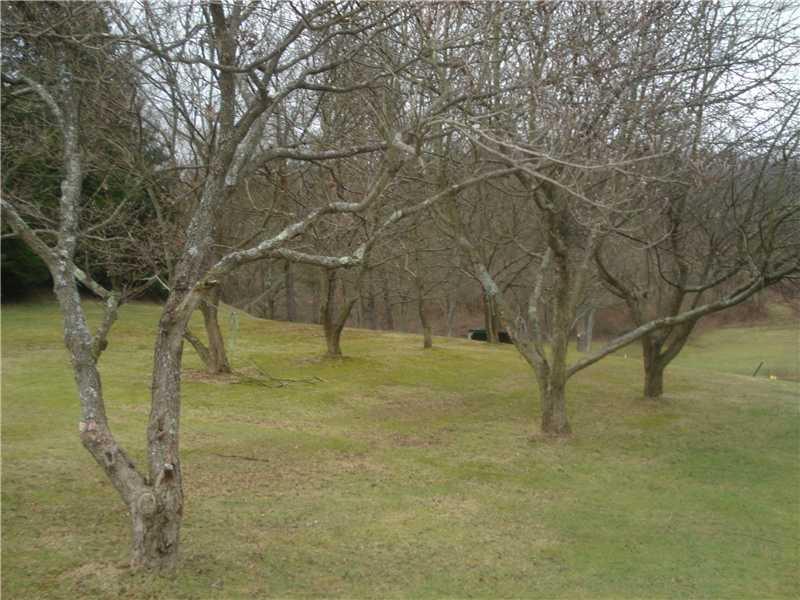 3238 Conway Wallrose Road Economy, PA 15005 - Photo 12 of 12 Yard/Garden.