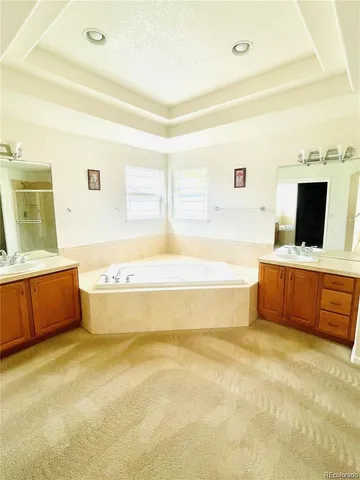a bathroom with a tub a sink and a mirror