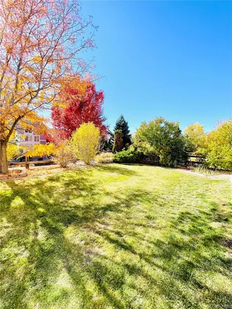 a street view with a yard