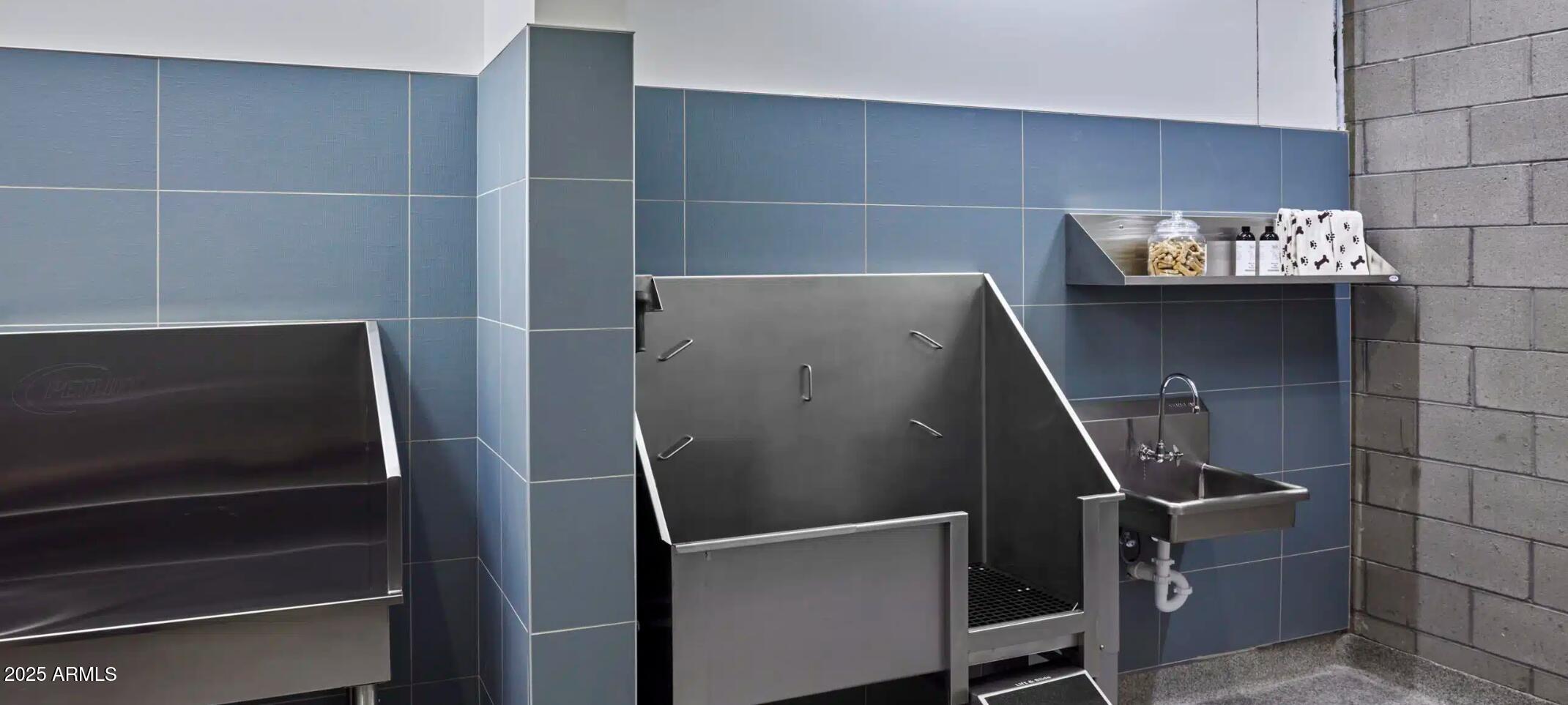 817 North 6th Street, Unit S2 Phoenix, AZ 85004 - Photo 27 of 32 Dog Spa