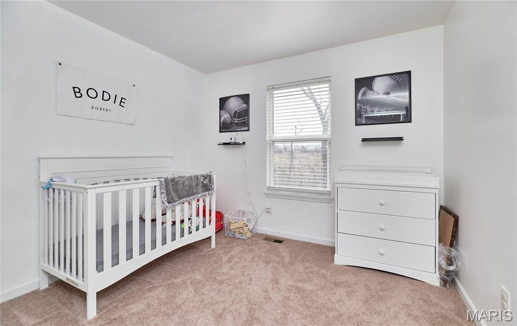 22 Saddleback Ridge Drive Winfield, MO 63389 - Photo 22 of 42