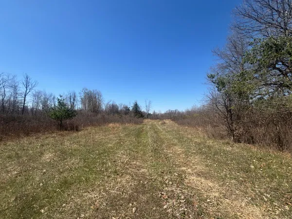 $77,500 | 10-a P4 North Magruder Road, Coleman, MI 48618
