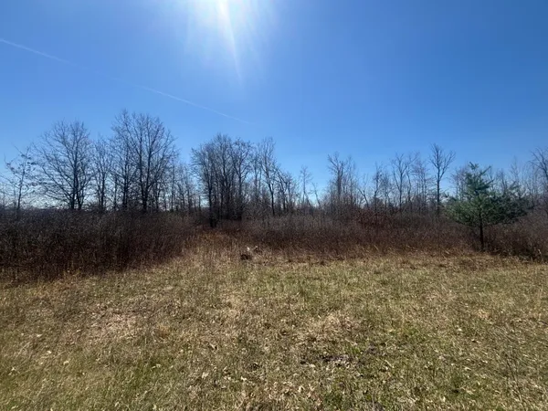 $77,500 | 10-a P4 North Magruder Road, Coleman, MI 48618