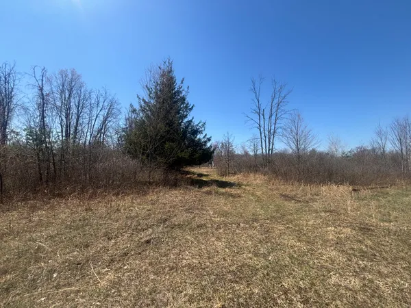 $77,500 | 10-a P4 North Magruder Road, Coleman, MI 48618