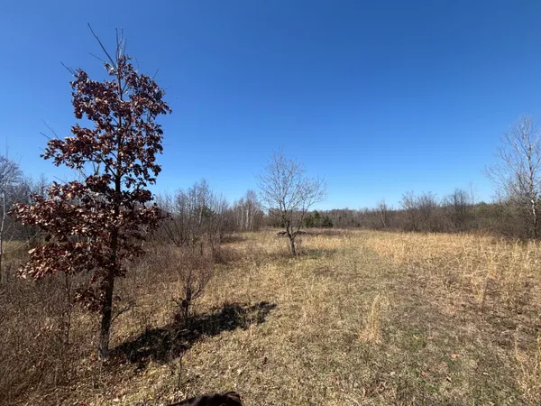 $77,500 | 10-a P4 North Magruder Road, Coleman, MI 48618