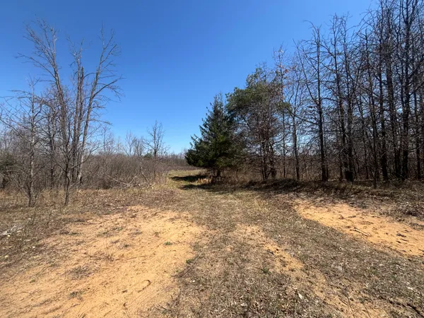 $77,500 | 10-a P4 North Magruder Road, Coleman, MI 48618