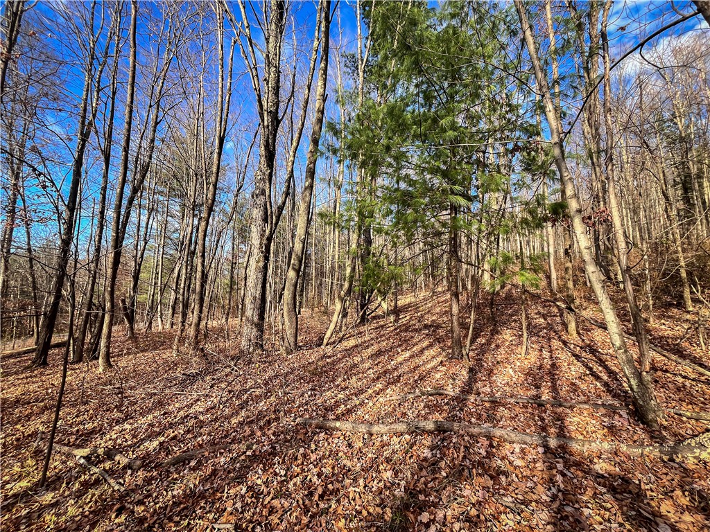 1188 Braybrook Road Chemung, NY 14861 - Photo 9 of 45