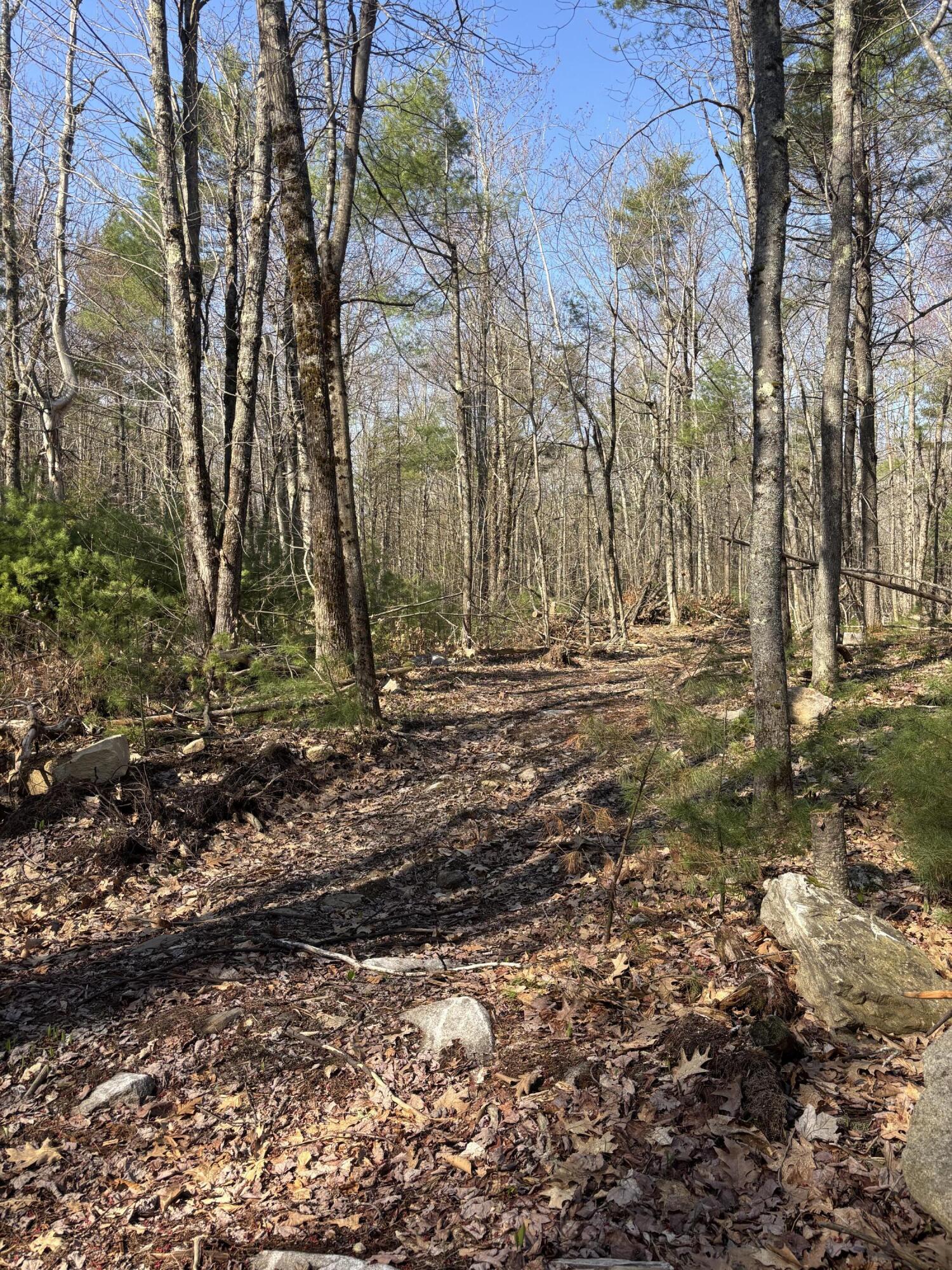 Lot 88 Bolton Hill Road Augusta, ME 04330 - Photo 14 of 17