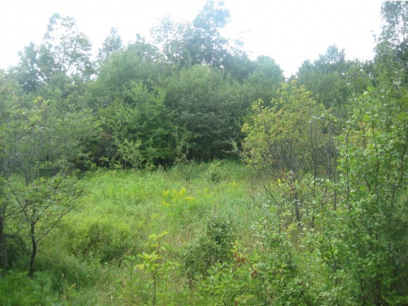 1700 Loop Road Northfield, VT 05663 - Photo 1 of 1