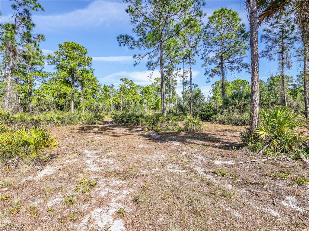 2007 22nd Avenue Northeast Naples, FL 34120 - Photo 43 of 47 Rear Wooded Yard