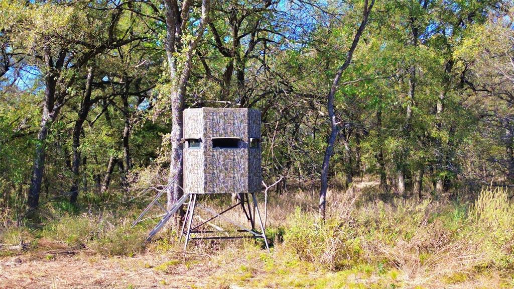 0 Bee Creek Road Maypearl, TX 76064 - Photo 7 of 39 a picture of a tree