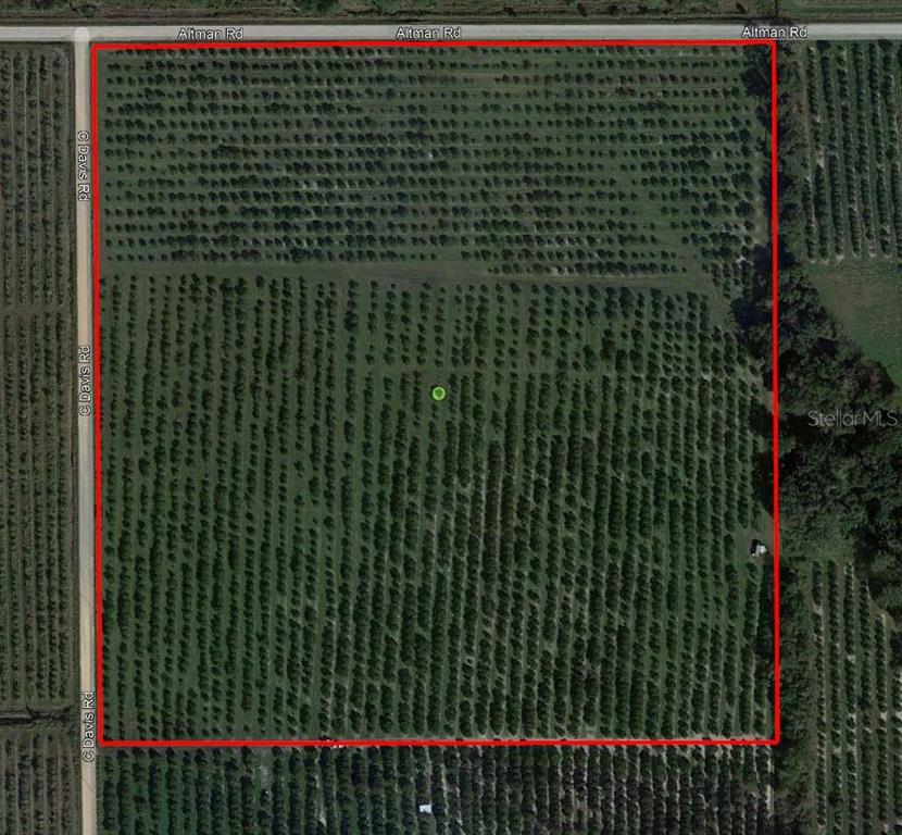 Davis Road Fort Meade, FL 33841 - Photo 1 of 1