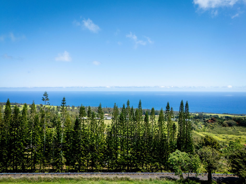 44-2527 Kalopa Mauka Road Honokaa, HI 96727 - Photo 6 of 29