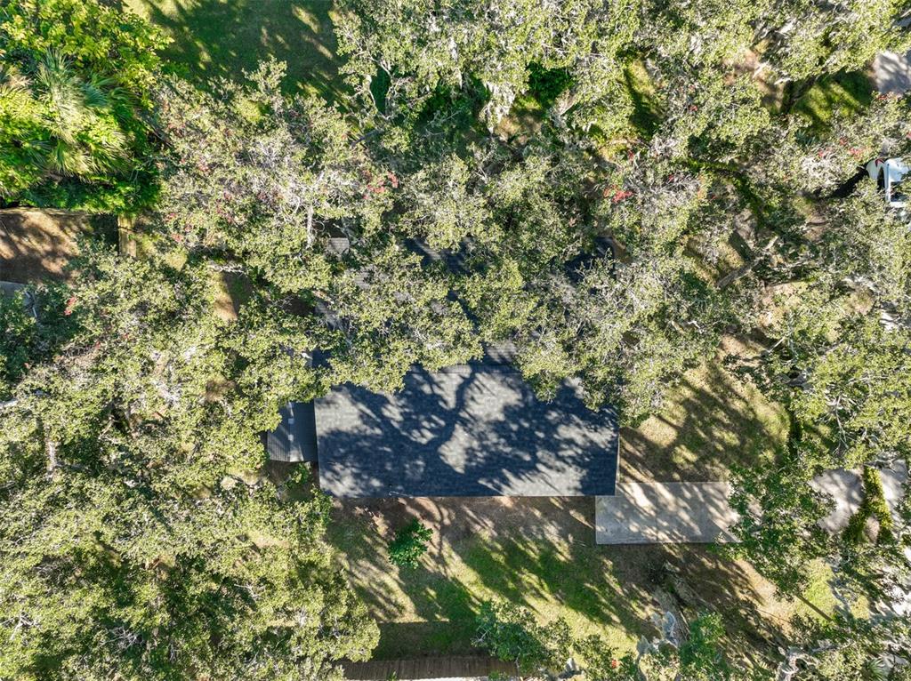 145 Oak Ridge Avenue Edgewater, FL 32132 - Photo 30 of 32