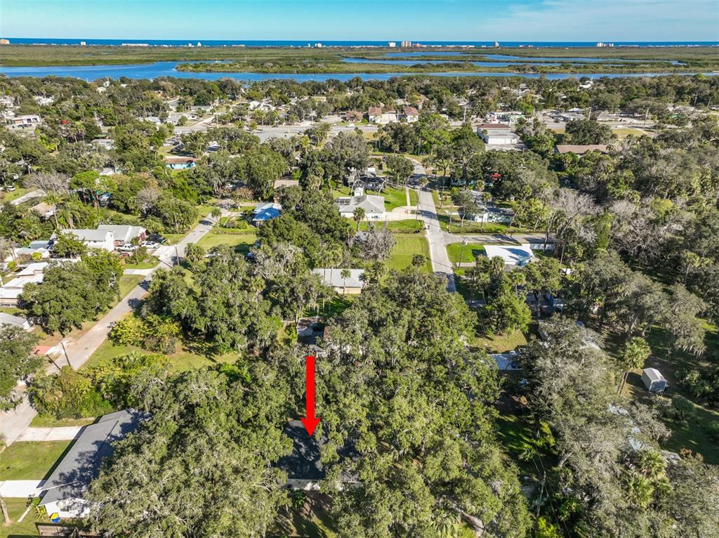 145 Oak Ridge Avenue Edgewater, FL 32132 - Photo 32 of 32