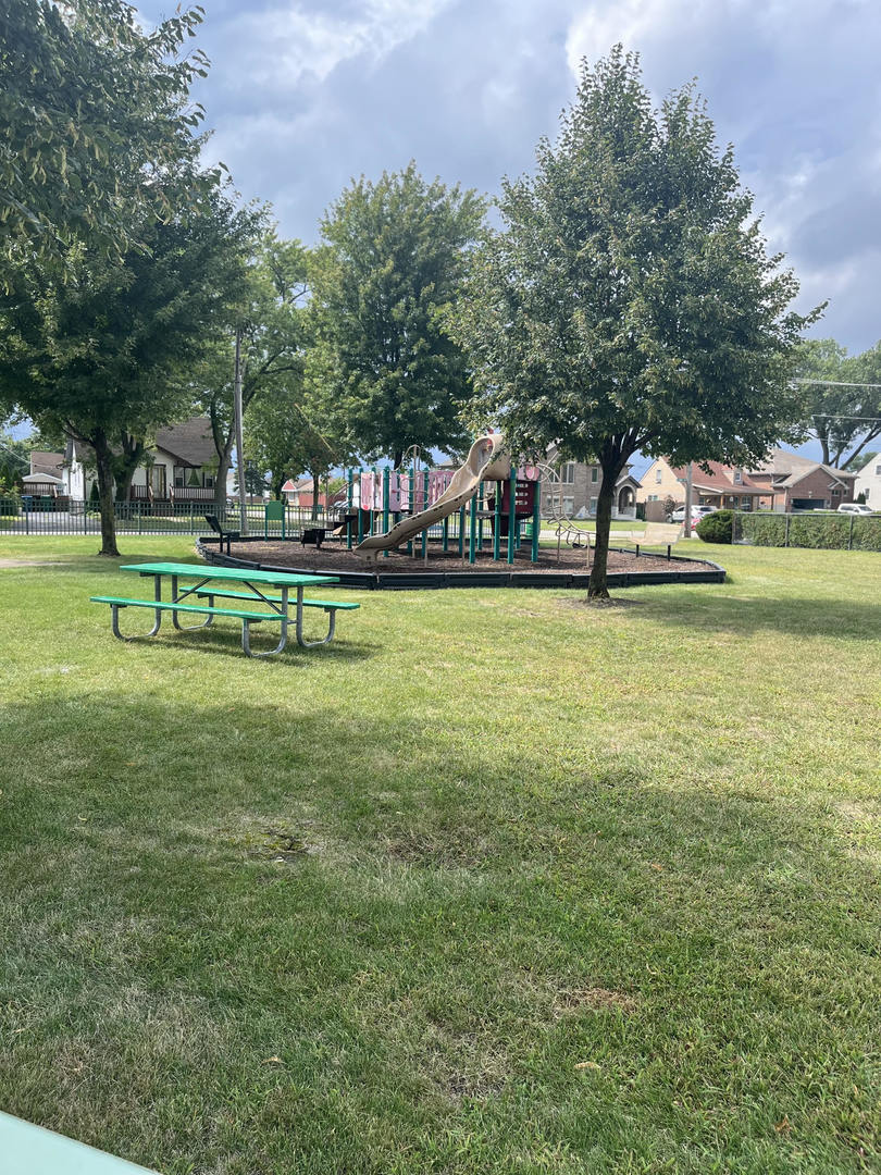 5206 State Road Burbank, IL 60459 - Photo 3 of 5 a view of a swimming pool and trees in the background