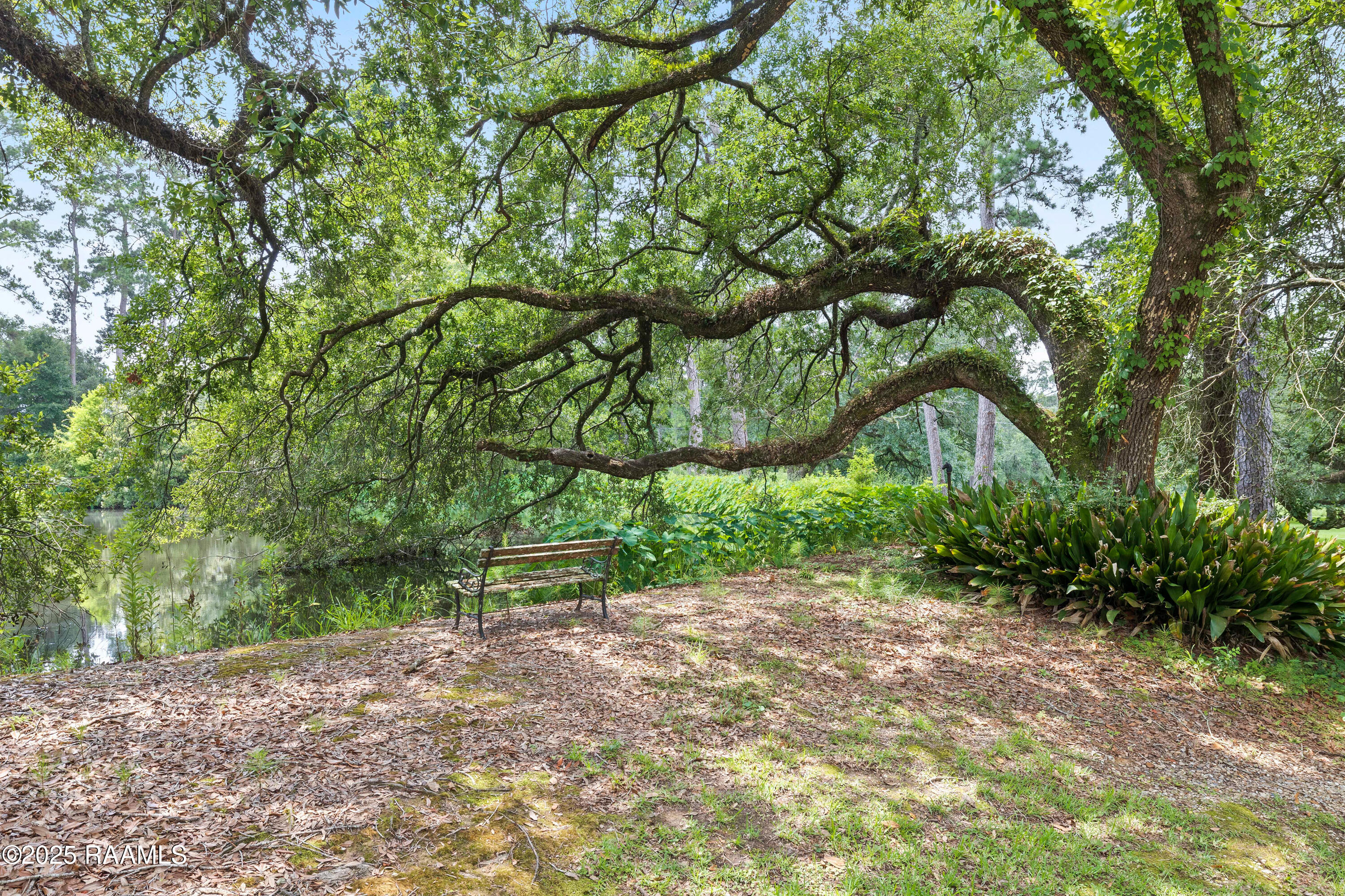 14551 Highland Road Baton Rouge, LA 70810 - Photo 45 of 60 Highland-44