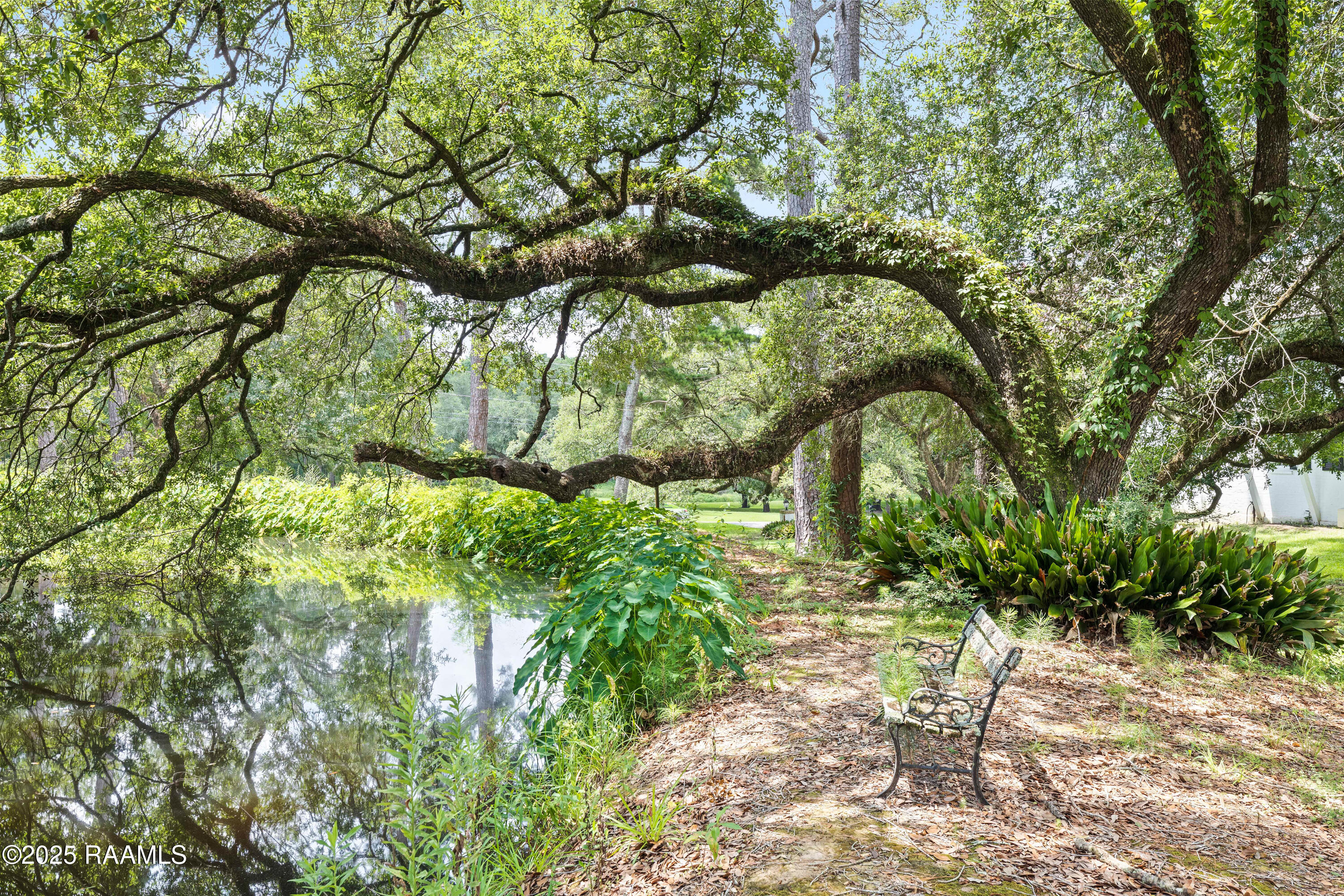 14551 Highland Road Baton Rouge, LA 70810 - Photo 46 of 60 Highland-45