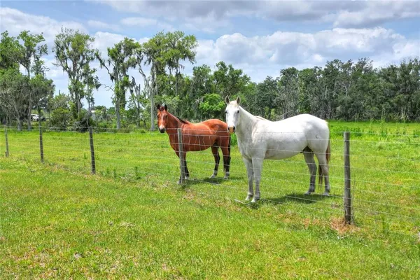 $385,000 | 0 South S Cr, Lithia, FL 33547