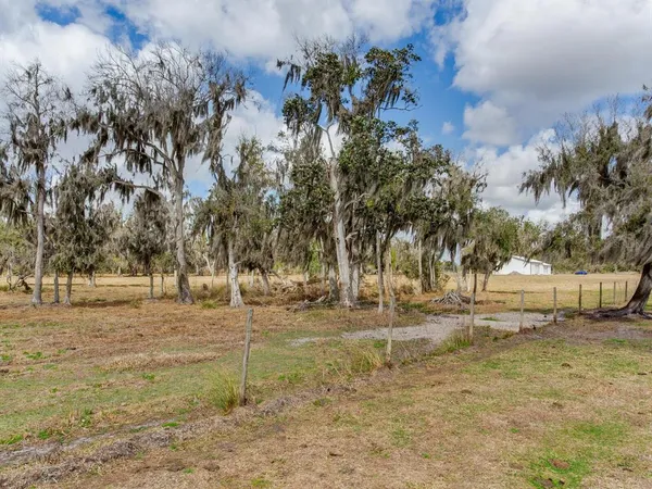 a view of dirt yard with green space
