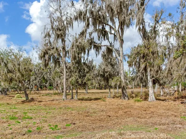a view of outdoor space with trees
