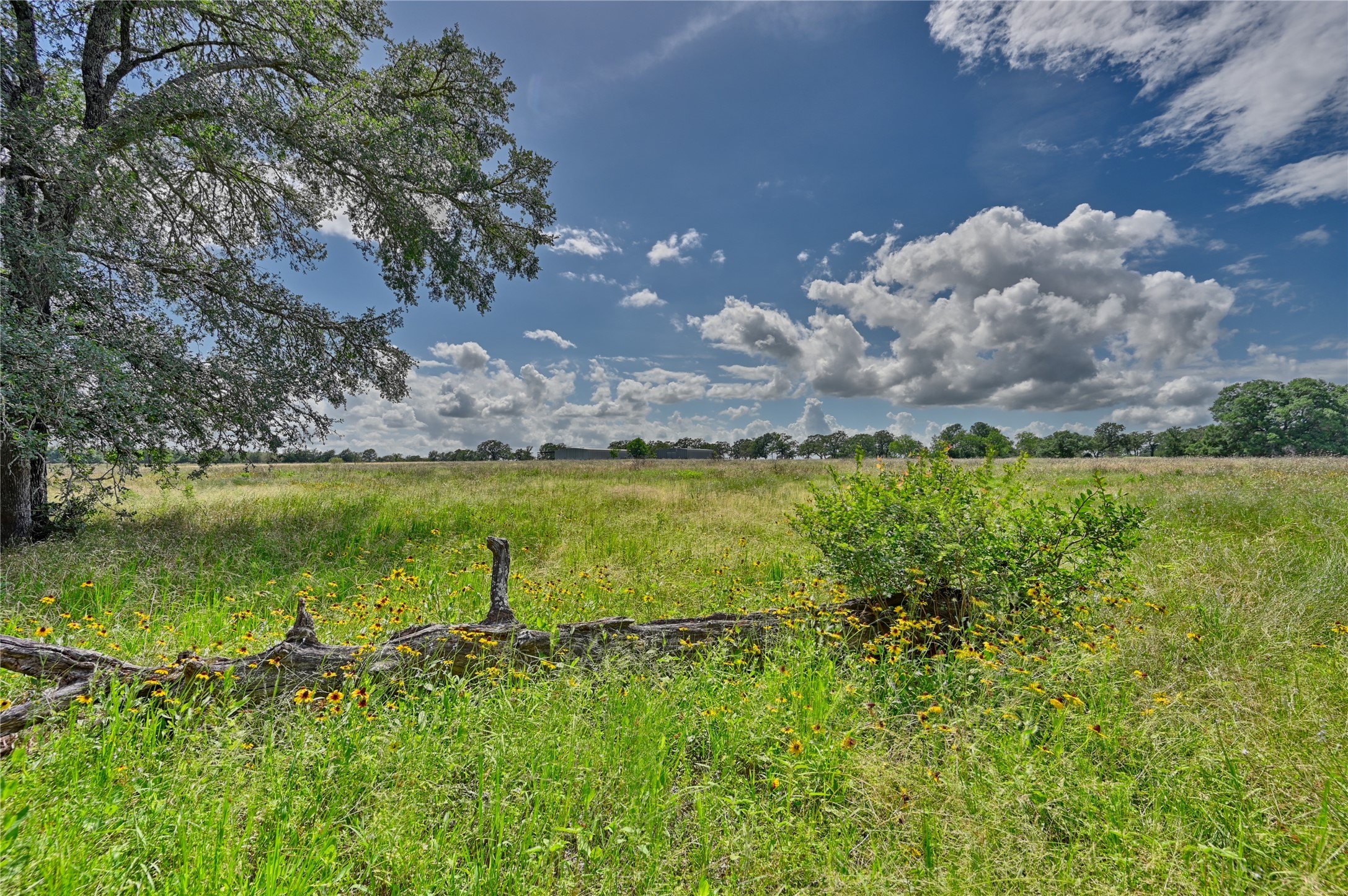 0 Homeyer Mountain Road Burton, TX 77835 - Photo 10 of 17 a view of a lake with a big yard