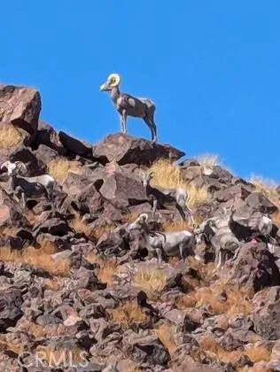 a bed sitting in a bedroom next to a wall