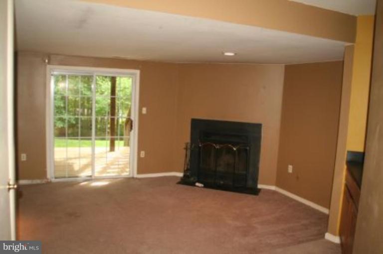 11987 Sentinel Point Court Reston, VA 20191 - Photo 8 of 8 Rec Room Walk-out to LL Patio. Fireplace & Wetbar