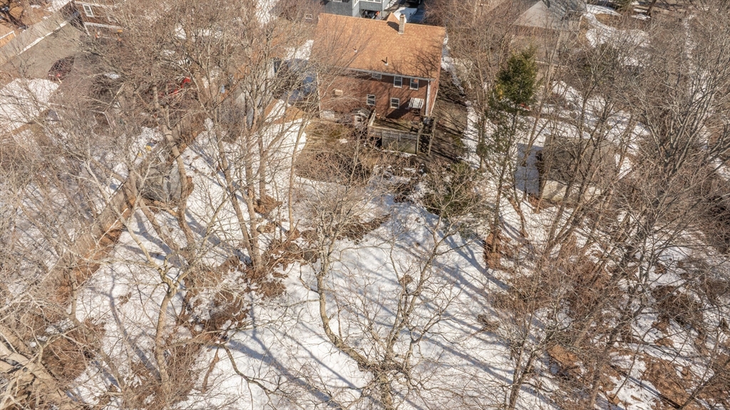 34 Summer Street Saugus, MA 01906 - Photo 7 of 35 a view of a yard with a tree