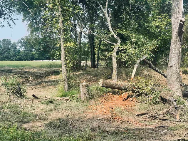 a backyard of a house with lots of green space
