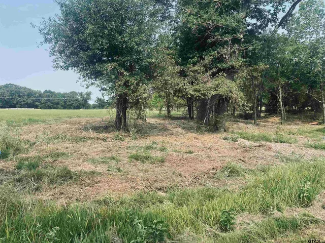 a view of outdoor space with deck and yard
