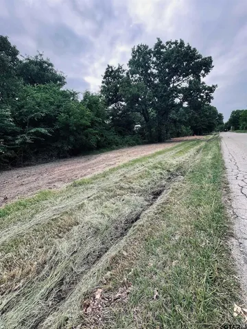 a view of outdoor space and yard