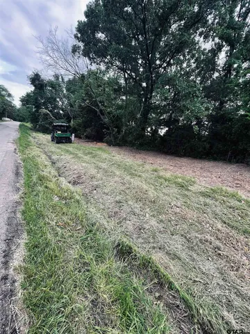 $38,500 | Lot 6 Leach Woods East Cr, Alba, TX 75410