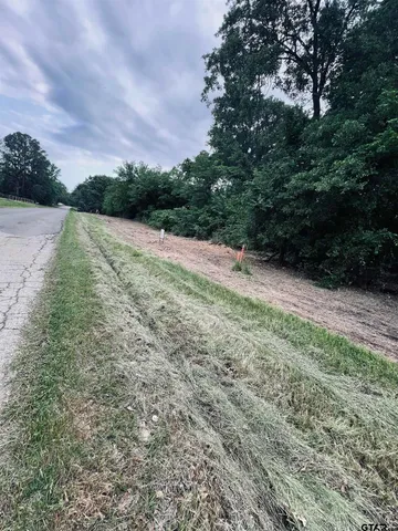 $38,500 | Lot 6 Leach Woods East Cr, Alba, TX 75410