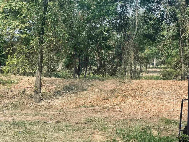 a view of a green yard