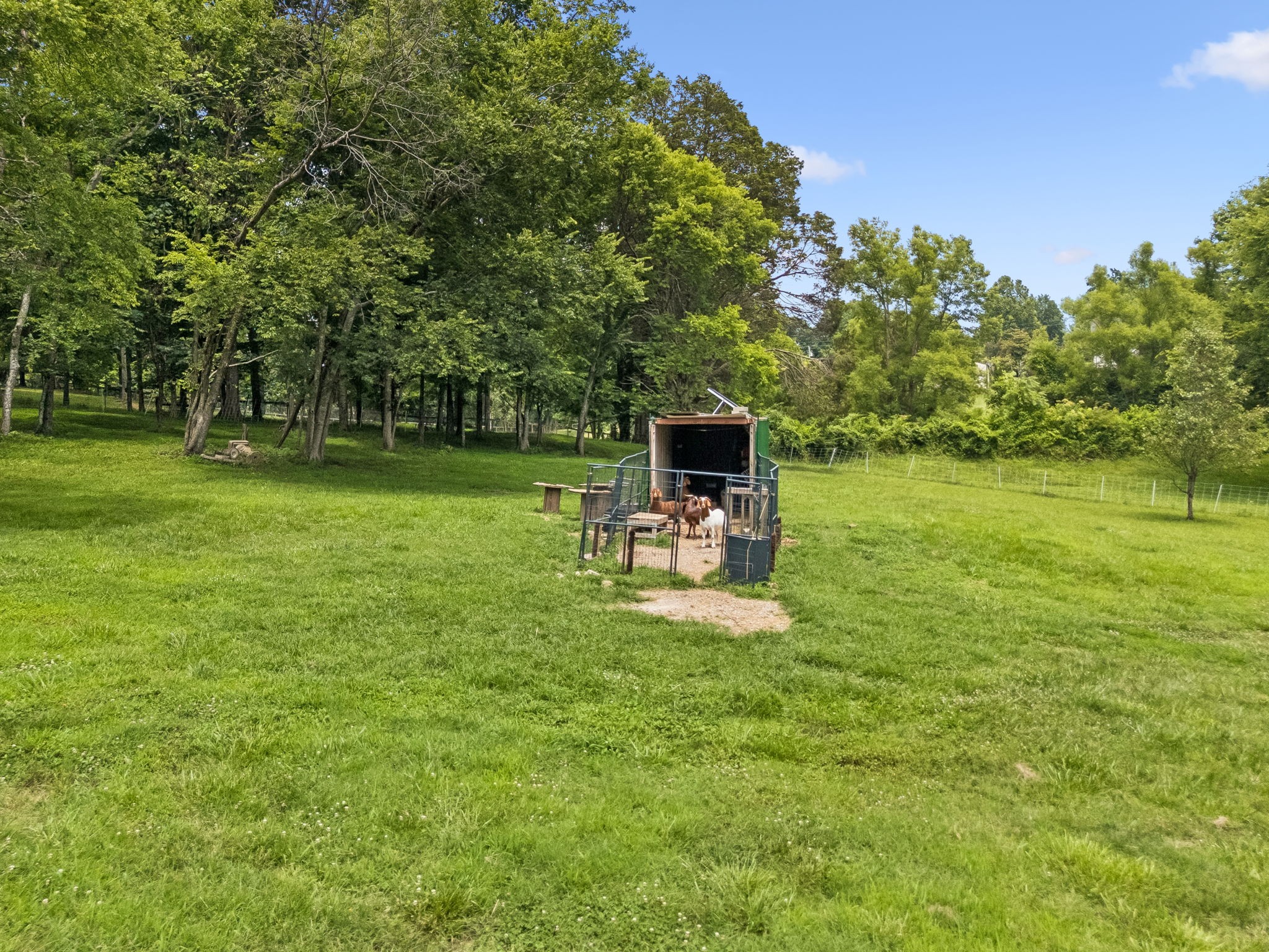 6429 Trails End Road College Grove, TN 37046 - Photo 69 of 75 Gallery Image 69