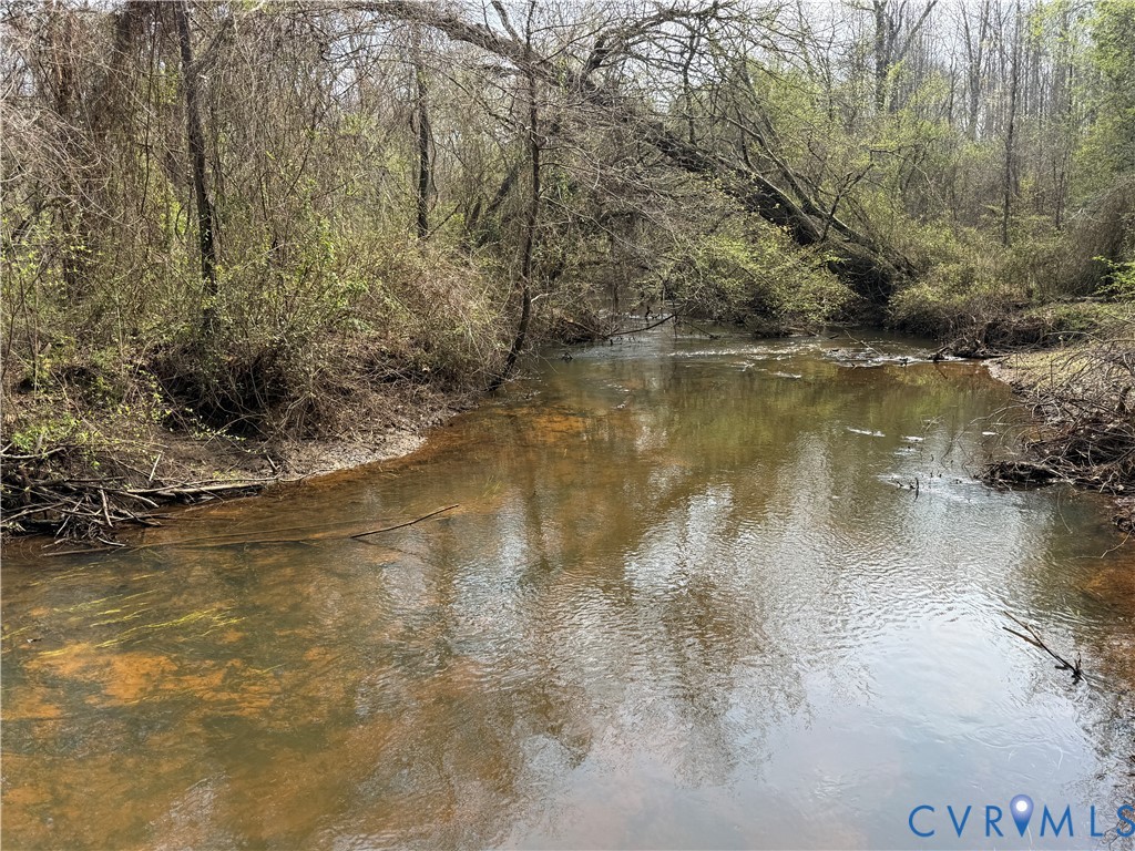 17226 Parsons Road Beaverdam, VA 23015 - Photo 1 of 19 31.1 Acres on the Little River