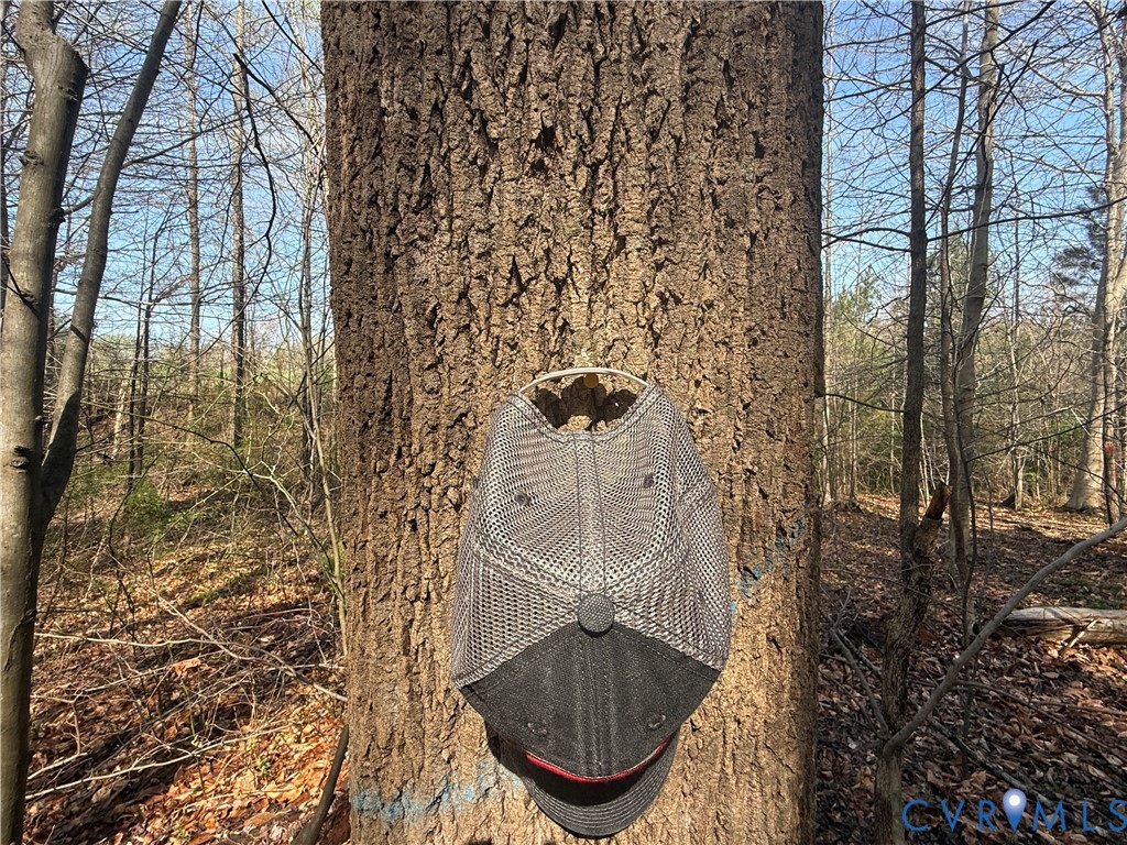 17226 Parsons Road Beaverdam, VA 23015 - Photo 11 of 19 Mixed Hardwoods Throughout