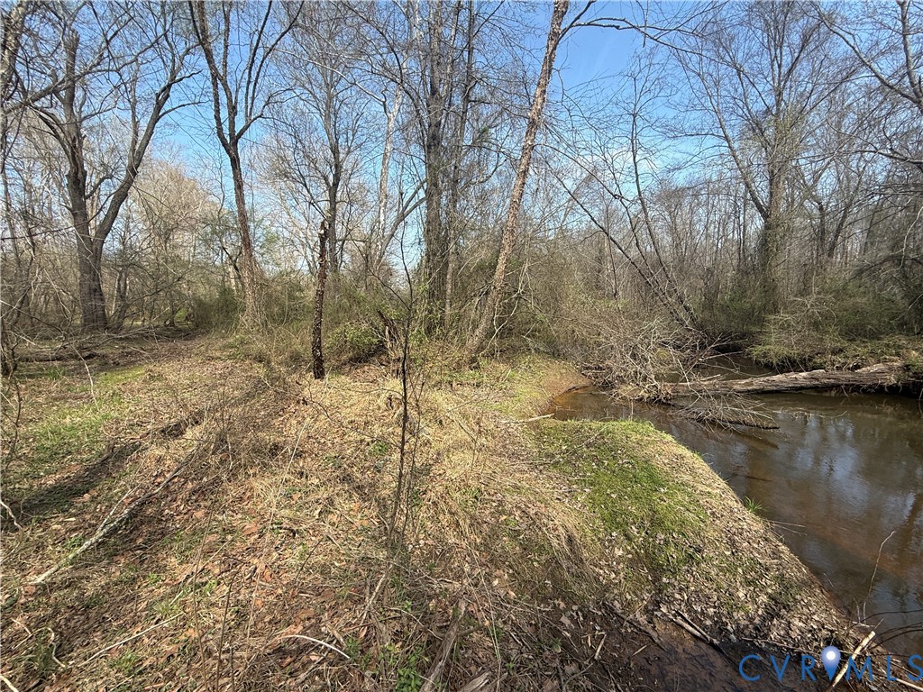 17226 Parsons Road Beaverdam, VA 23015 - Photo 13 of 19
