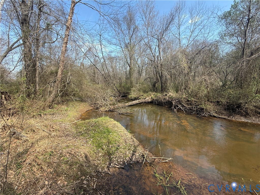 17226 Parsons Road Beaverdam, VA 23015 - Photo 14 of 19