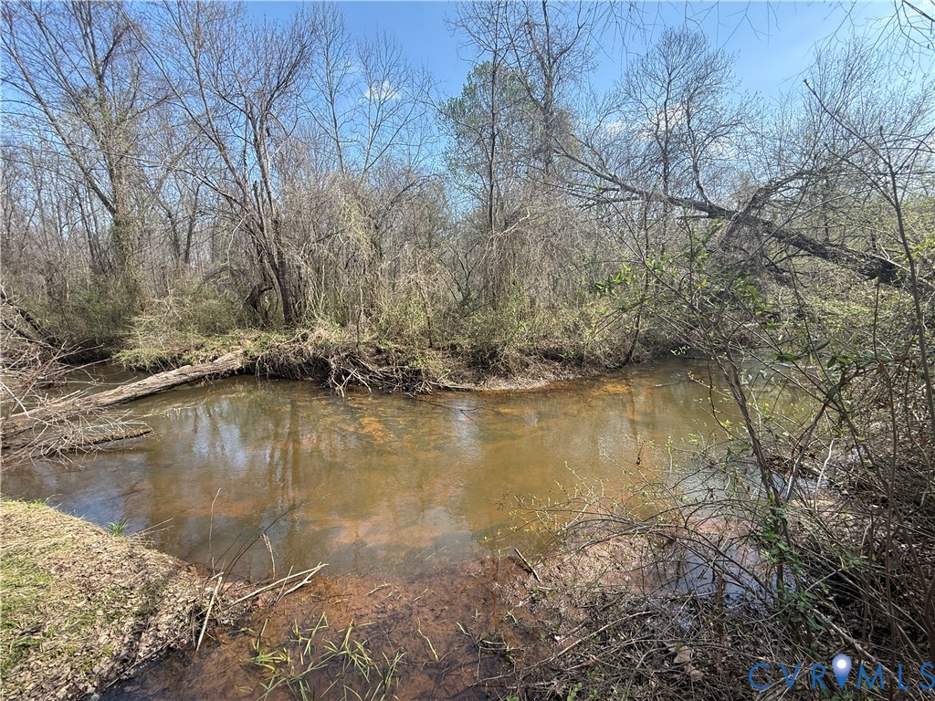 17226 Parsons Road Beaverdam, VA 23015 - Photo 15 of 19