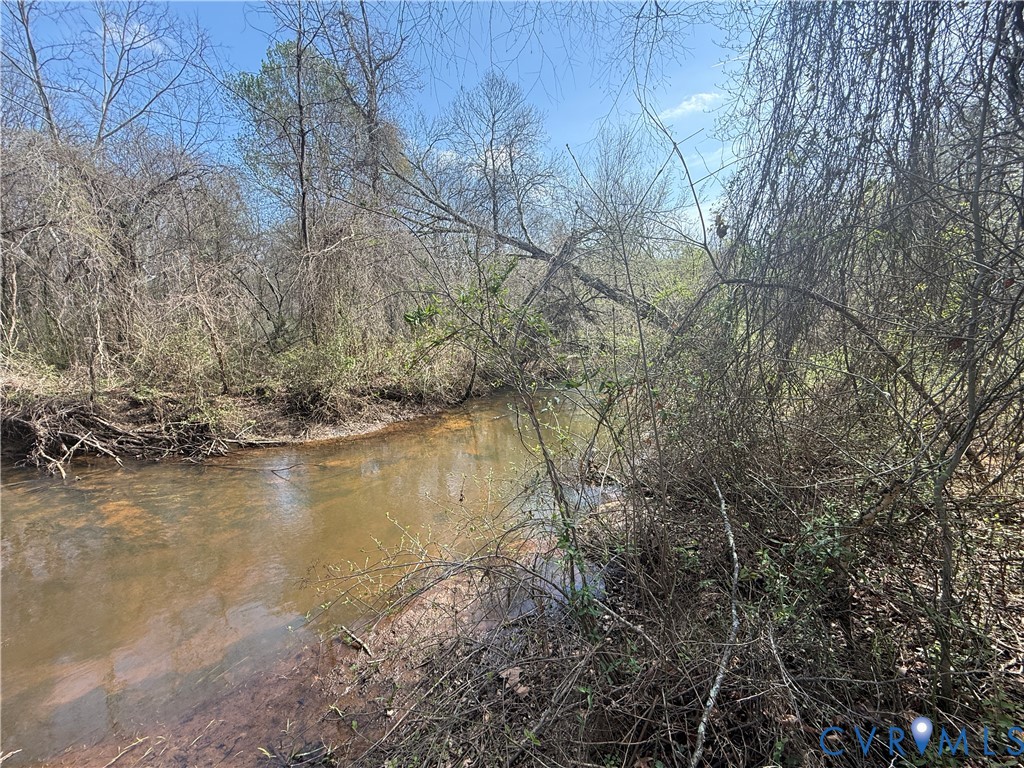 17226 Parsons Road Beaverdam, VA 23015 - Photo 16 of 19